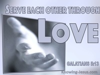 Serve through love